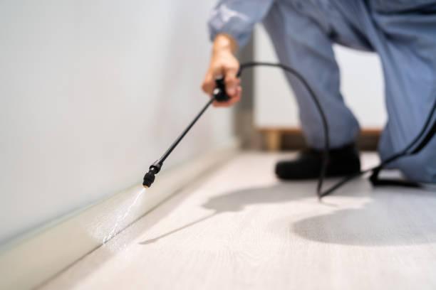 Licensed Pest Control service in East Camden, SC - Show Me Pest Control