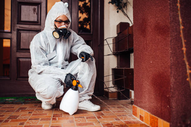 Attic and Crawl Space Rodent Treatment in East Camden